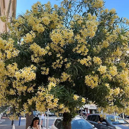 La Palmeraie B דירה